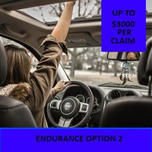 endurance option 2 vehicle warranty