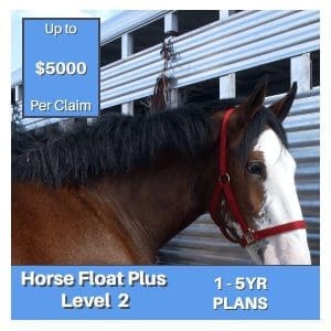 INT Horse Float Plus Level 2 Aftermarket Warranty